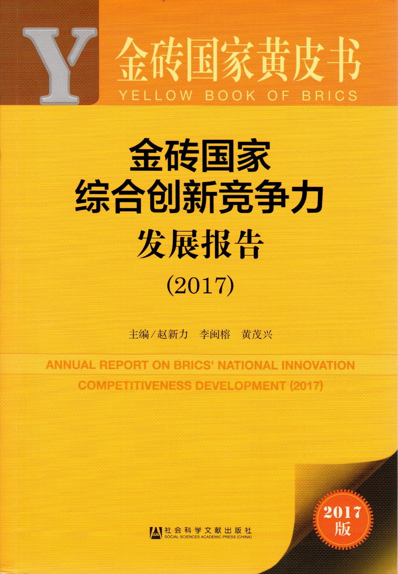 鸡巴好大好深啊潮喷了视频金砖国家综合创新竞争力发展报告（2017）